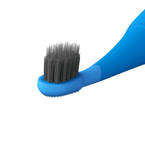 blue brush head 2