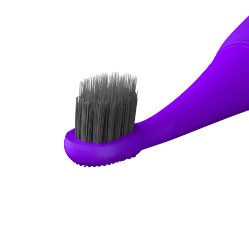 purple brush head 2